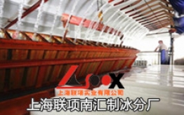上海联项南汇制冰分厂